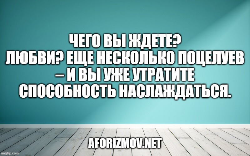 Чего вы ждете? Любви? Еще несколько поцелуев – и вы уже утратите способность наслаждаться.