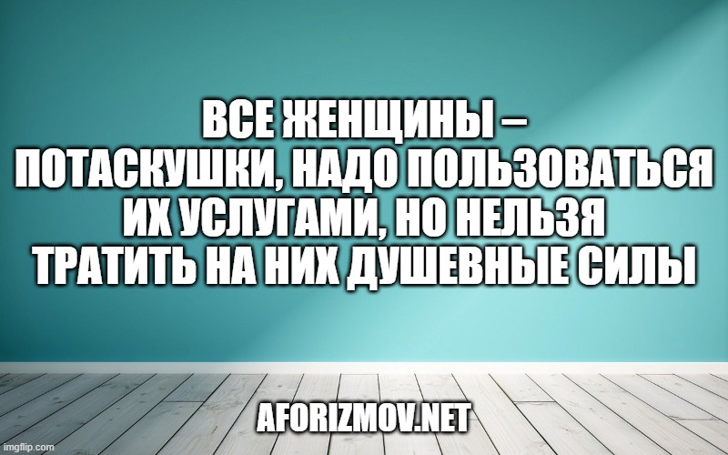 Все женщины – потаскушки, надо пользоваться их услугами, но нельзя тратить на них душевные силы