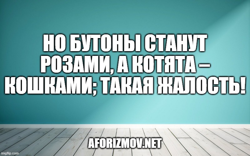 Но бутоны станут розами, а котята – кошками; такая жалость!