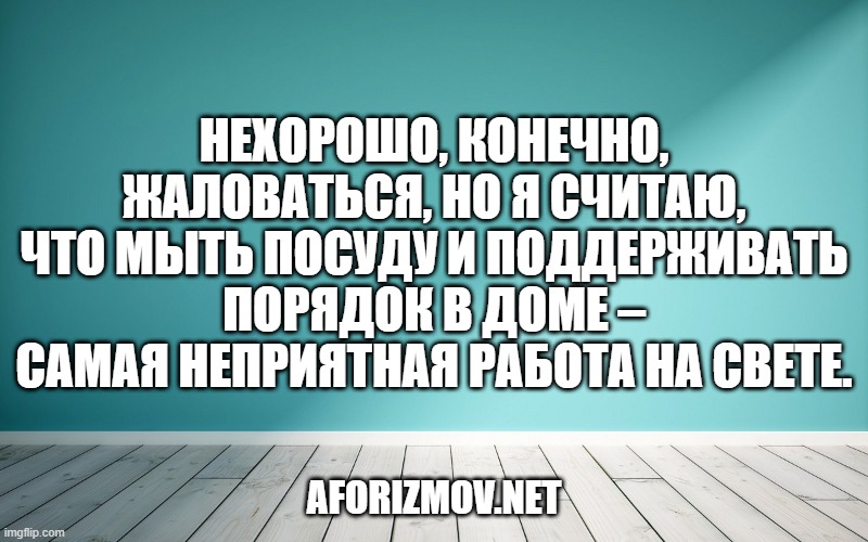 Нехорошо, конечно, жаловаться, но я считаю, что мыть посуду и поддерживать порядок в доме – самая неприятная работа на свете.