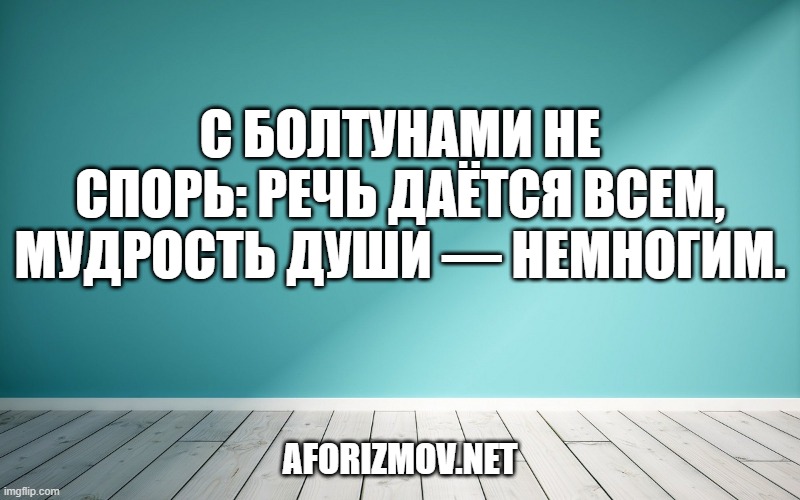 С болтунами не спорь: речь даётся всем, мудрость души — немногим.