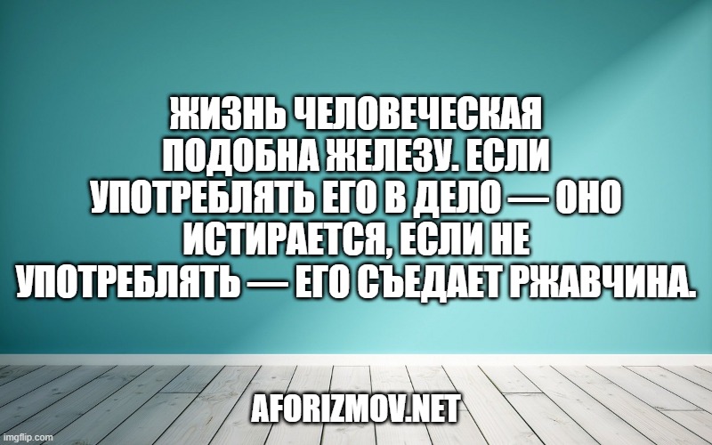 Жизнь человеческая подобна железу. Если употреблять его в дело — оно истирается, если не употреблять — его съедает ржавчина.