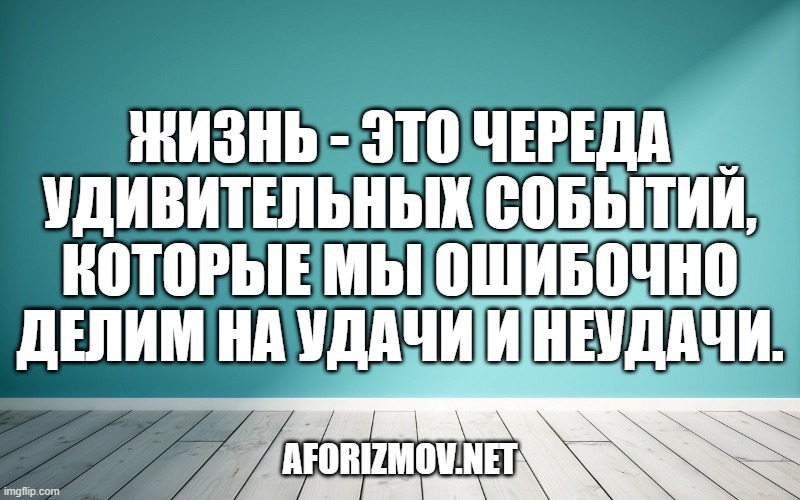Жизнь - это череда удивительных событий, которые мы ошибочно делим на удачи и неудачи.