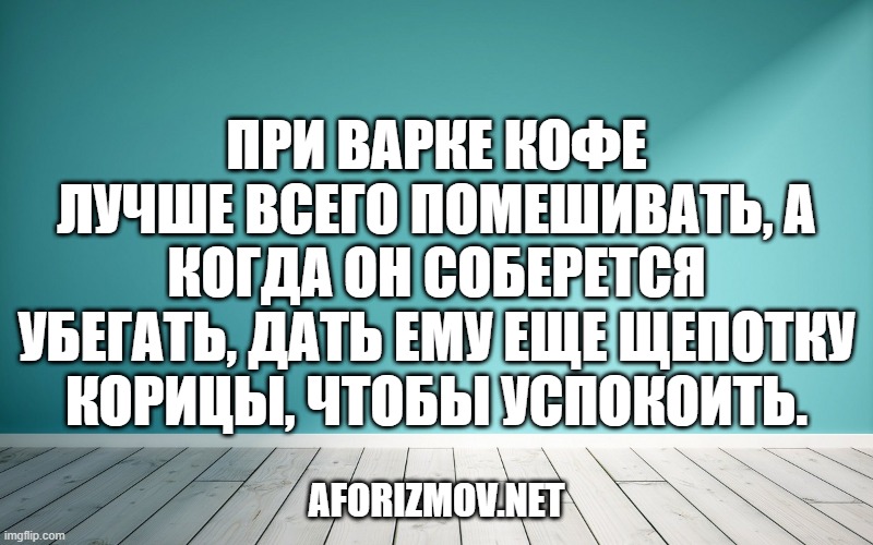 При варке кофе лучше всего помешивать, а когда он соберется убегать, дать ему еще щепотку корицы, чтобы успокоить.