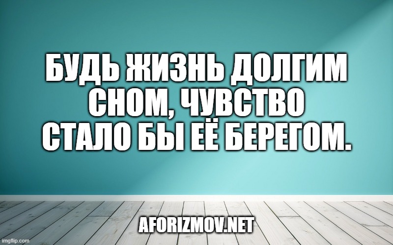 Будь жизнь долгим сном, чувство стало бы её берегом.