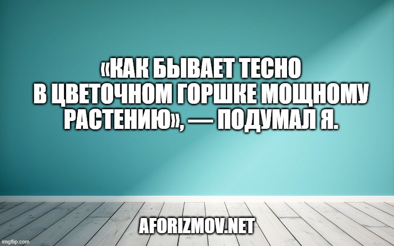 «Как бывает тесно в цветочном горшке мощному растению», — подумал я.