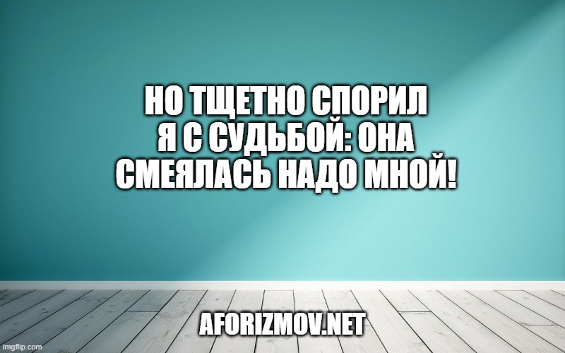Но тщетно спорил я с судьбой: Она смеялась надо мной!