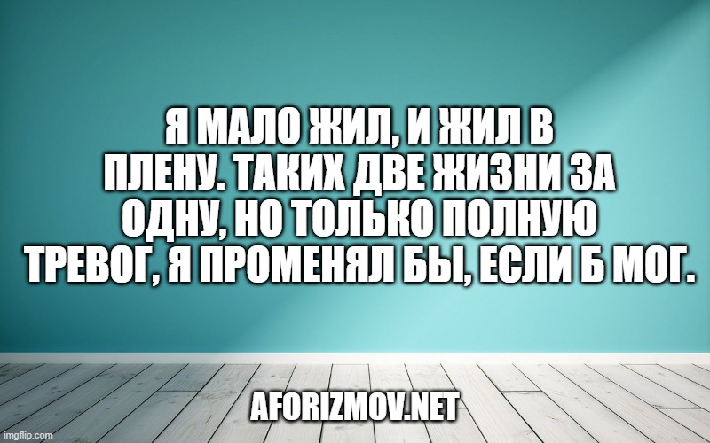 Я мало жил, и жил в плену. Таких две жизни за одну, Но только полную тревог, Я променял бы, если б мог.