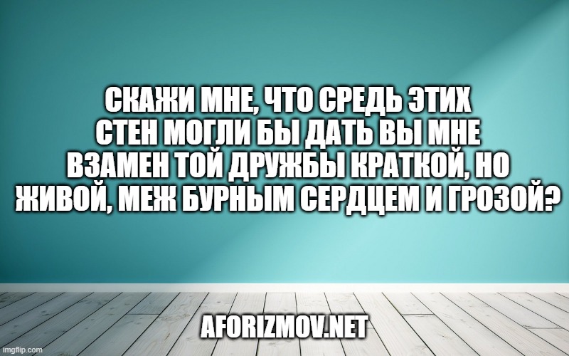 Скажи мне, что средь этих стен Могли бы дать вы мне взамен Той дружбы краткой, но живой, Меж бурным сердцем и грозой?