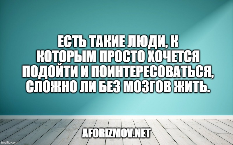 Есть такие люди, к которым просто хочется подойти и поинтересоваться, сложно ли без мозгов жить.