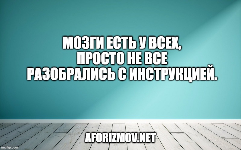 Мозги есть у всех, просто не все разобрались с инструкцией.