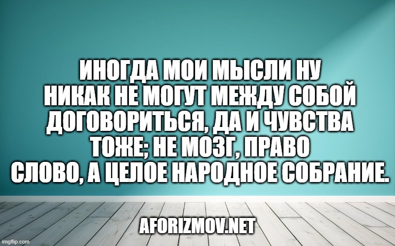 Иногда мои мысли ну никак не могут между собой договориться, да и чувства тоже; не мозг, право слово, а целое народное собрание.