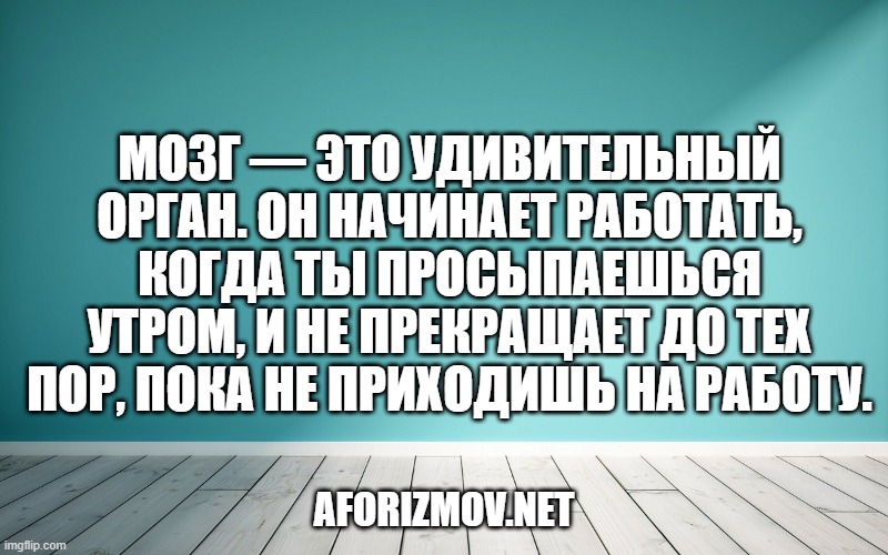 Мозг — это удивительный орган. Он начинает работать, когда ты просыпаешься утром, и не прекращает до тех пор, пока не приходишь на работу.