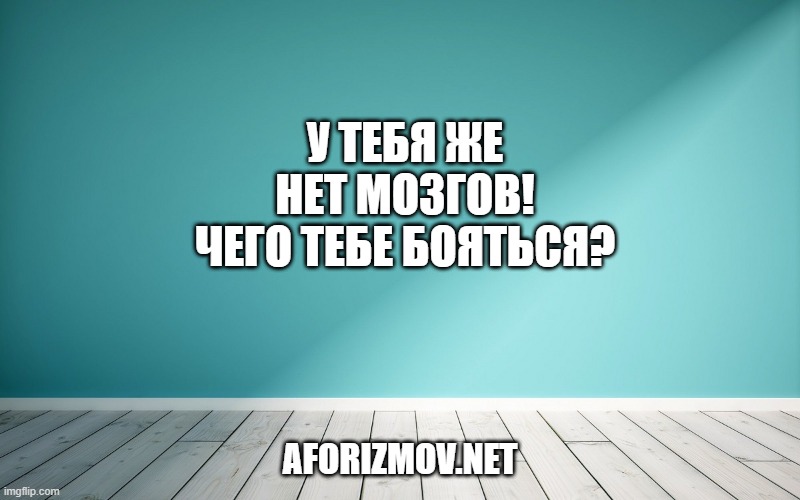 У тебя же нет мозгов! Чего тебе бояться?
