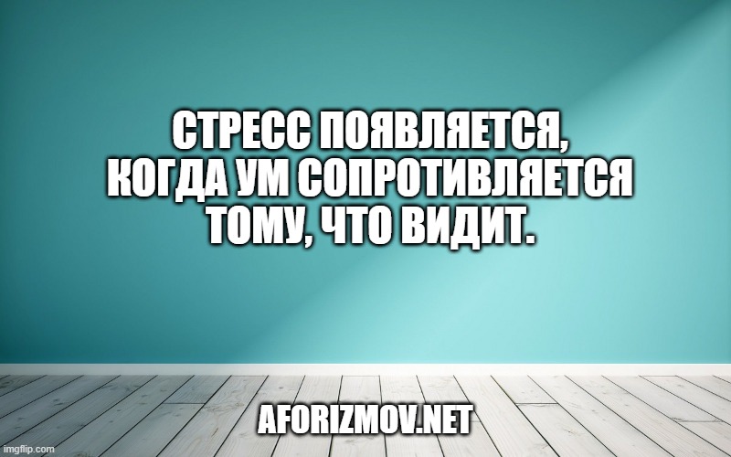 Стресс появляется, когда ум сопротивляется тому, что видит.