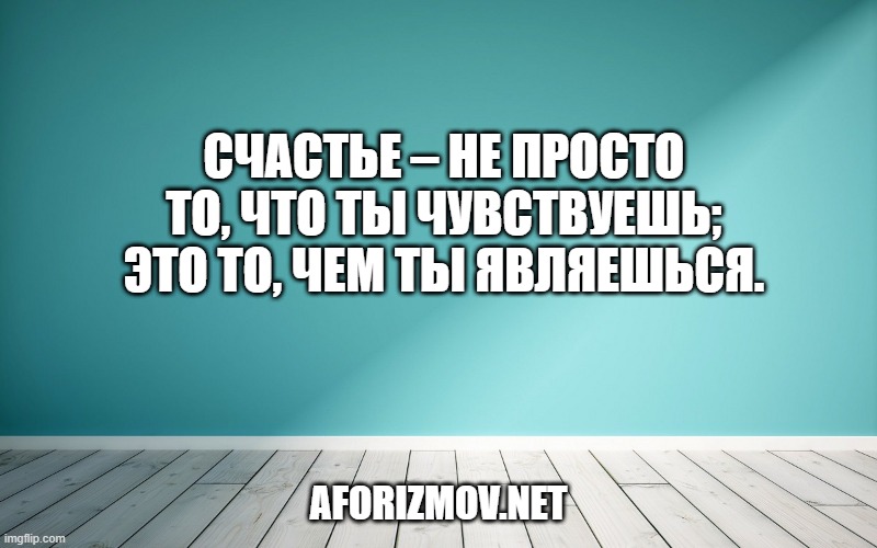 Счастье – не просто то, что ты чувствуешь; это то, чем ты являешься.