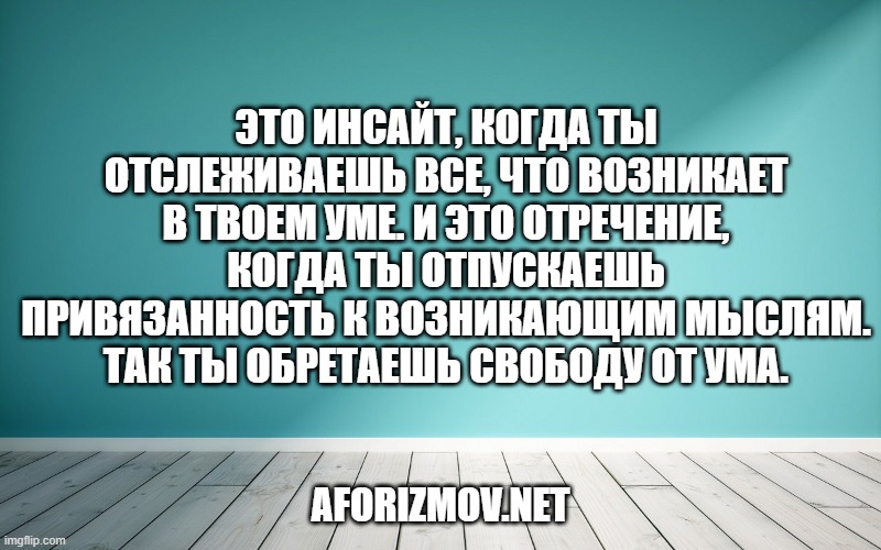Это инсайт, когда ты отслеживаешь все, что возникает в твоем уме. И это отречение, когда ты отпускаешь привязанность к возникающим мыслям. Так ты обретаешь свободу от ума.