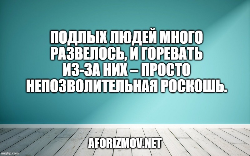 Подлых людей много развелось, и горевать из-за них – просто непозволительная роскошь.