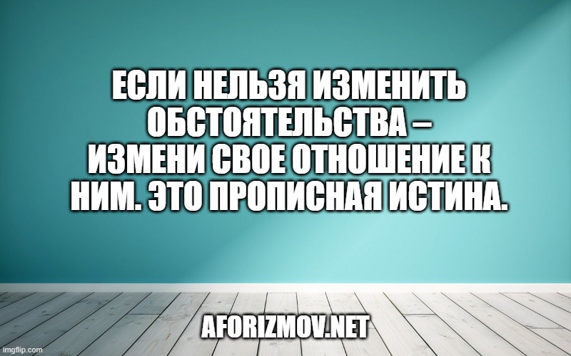 Если нельзя изменить обстоятельства – измени свое отношение к ним. Это прописная истина.