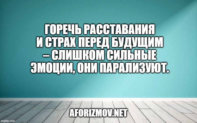Горечь расставания и страх перед будущим – слишком сильные эмоции, они парализуют.
