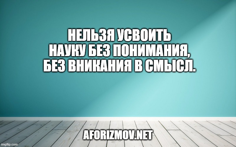Нельзя усвоить науку без понимания, без вникания в смысл.