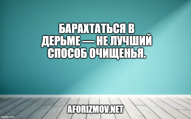 Барахтаться в дерьме — не лучший способ очищенья.
