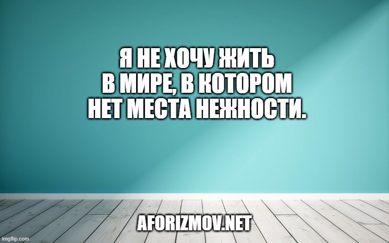 Я не хочу жить в мире, в котором нет места нежности.