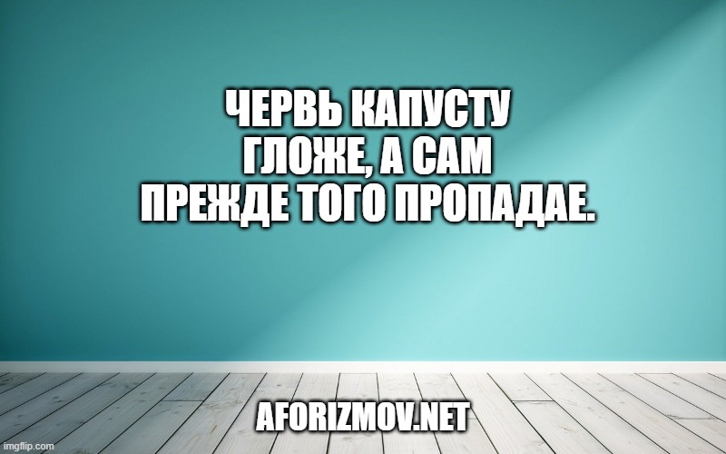 Червь капусту гложе, а сам прежде того пропадае.