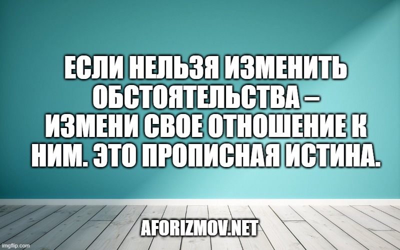 Если нельзя изменить обстоятельства – измени свое отношение к ним. Это прописная истина.
