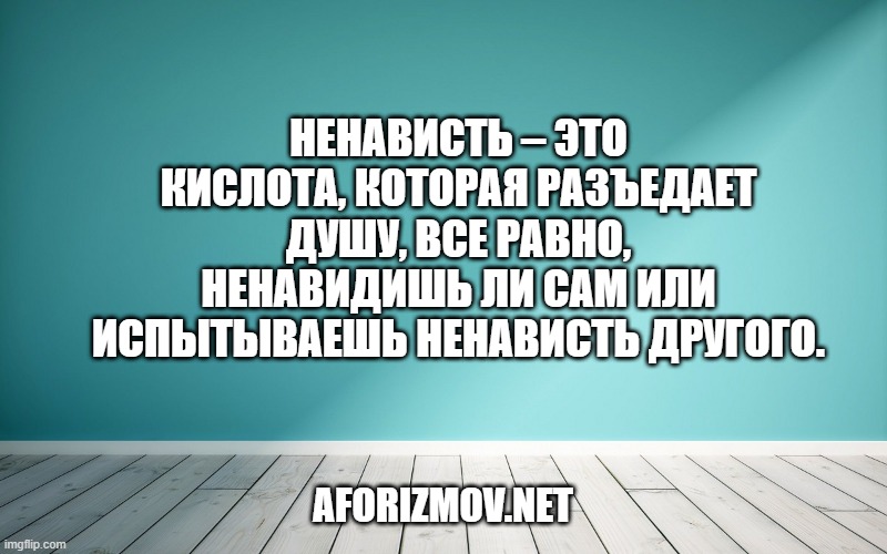 Ненависть – это кислота, которая разъедает душу, все равно, ненавидишь ли сам или испытываешь ненависть другого.