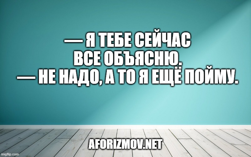 — Я тебе сейчас все объясню. — Не надо, а то я ещё пойму.