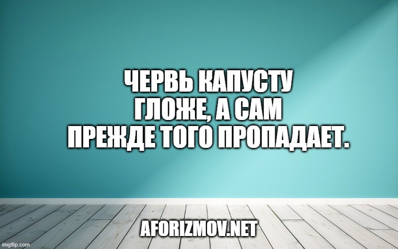Червь капусту гложе, а сам прежде того пропадает.
