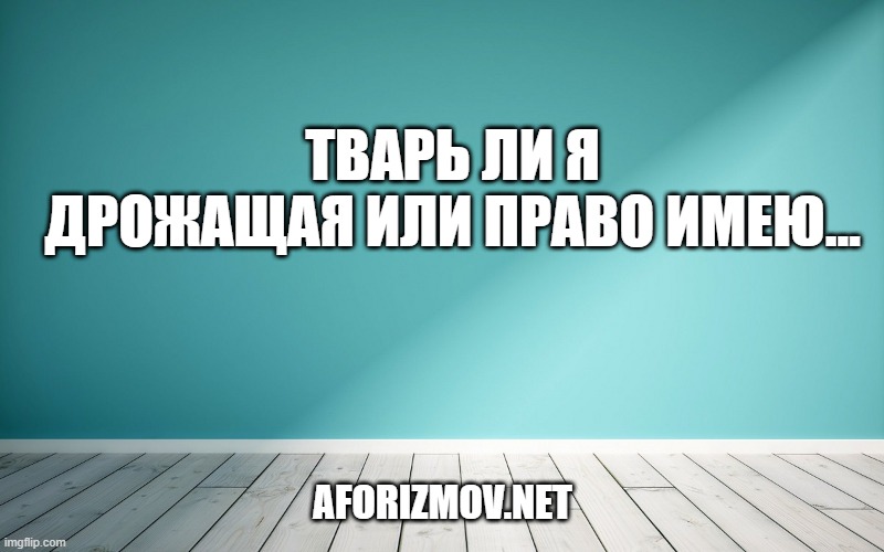 Тварь ли я дрожащая или право имею…