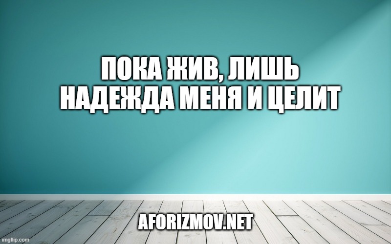 Пока жив, лишь надежда меня и целит