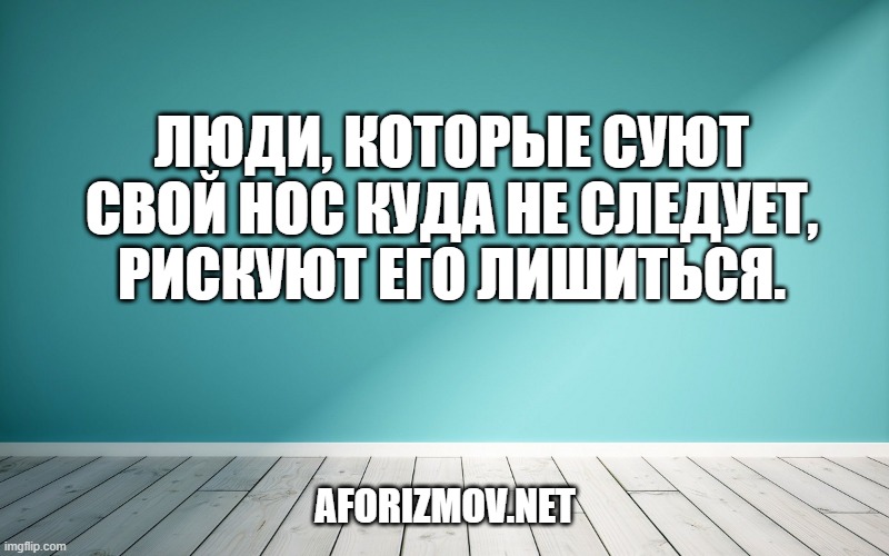 Люди, которые суют свой нос куда не следует, рискуют его лишиться.