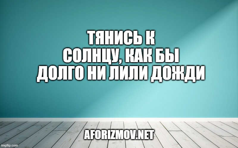 Тянись к солнцу, как бы долго ни лили дожди