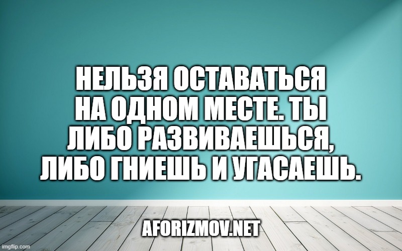 Нельзя оставаться на одном месте. Ты либо развиваешься, либо гниешь и угасаешь.