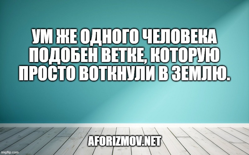 Ум же одного человека подобен ветке, которую просто воткнули в землю.