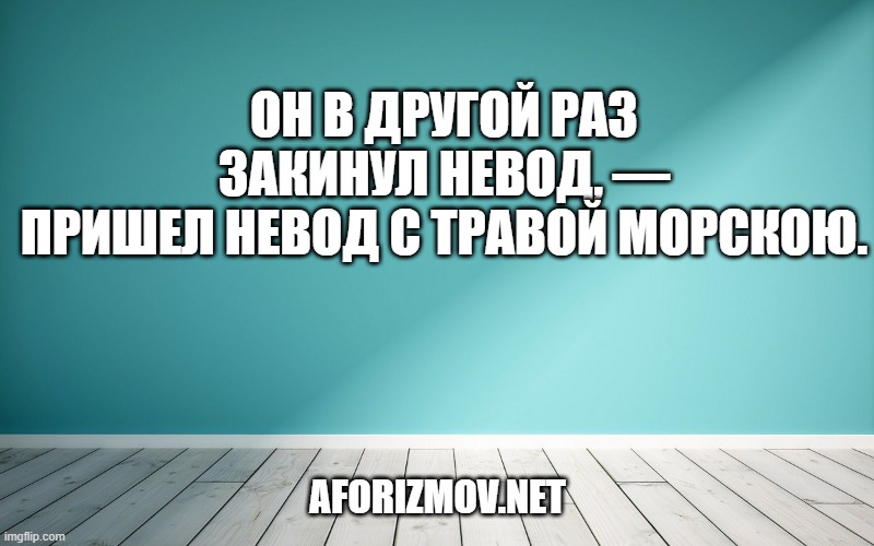 Он в другой раз закинул невод, — Пришел невод с травой морскою.