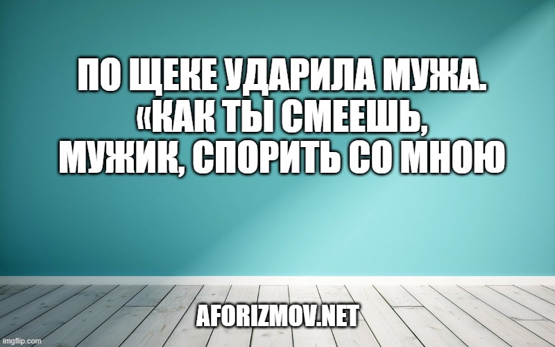 По щеке ударила мужа. «Как ты смеешь, мужик, спорить со мною