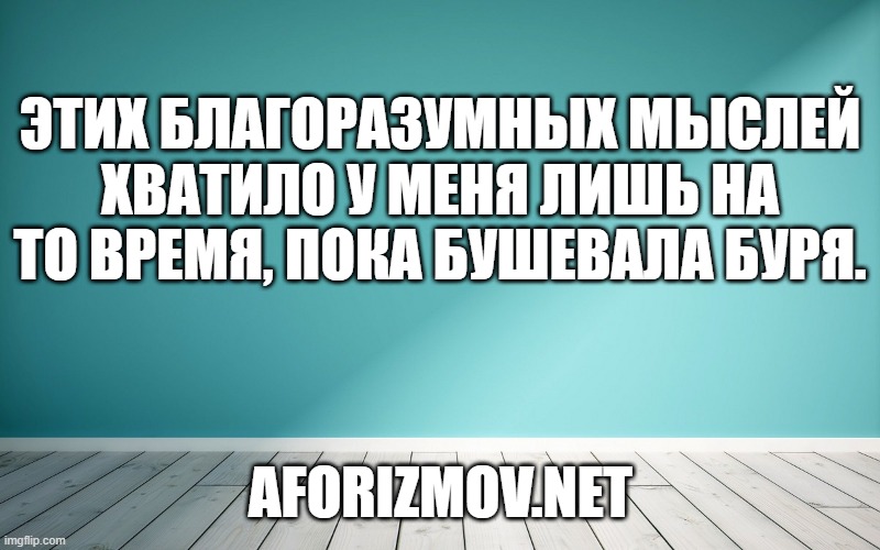 Этих благоразумных мыслей хватило у меня лишь на то время, пока бушевала буря.