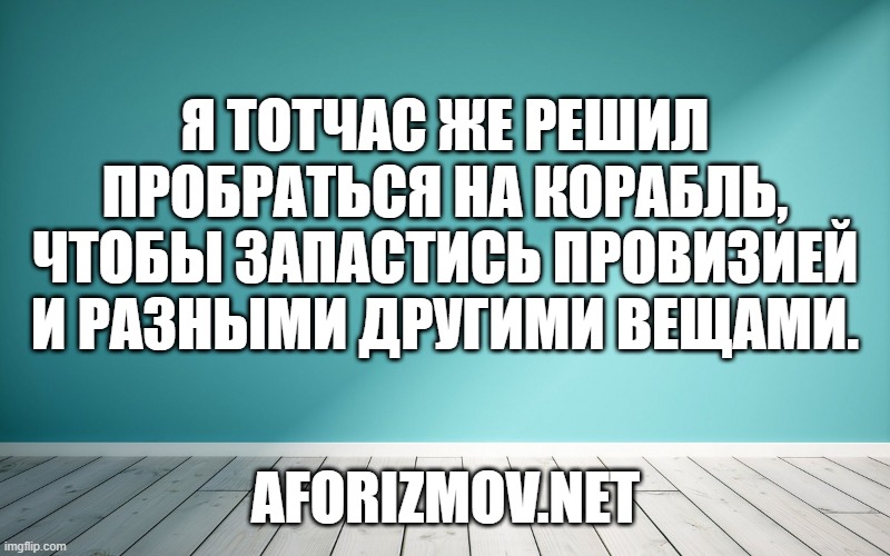 Я тотчас же решил пробраться на корабль, чтобы запастись провизией и разными другими вещами.
