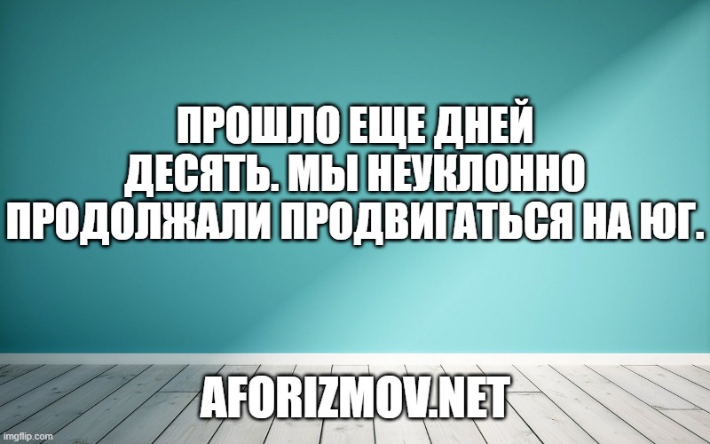 Прошло еще дней десять. Мы неуклонно продолжали продвигаться на юг.