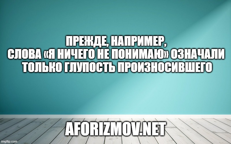 Прежде, например, слова «я ничего не понимаю» означали только глупость произносившего