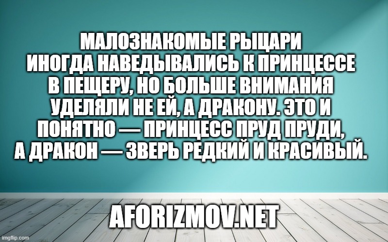 Малознакомые рыцари иногда наведывались к Принцессе в пещеру, но больше внимания уделяли не ей, а Дракону. Это и понятно — Принцесс пруд пруди, а Дракон — зверь редкий и красивый.