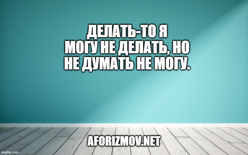Делать-то я могу не делать, но не думать не могу.