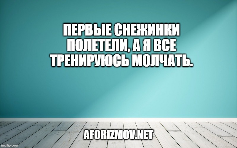 Первые снежинки полетели, а я все тренируюсь молчать.