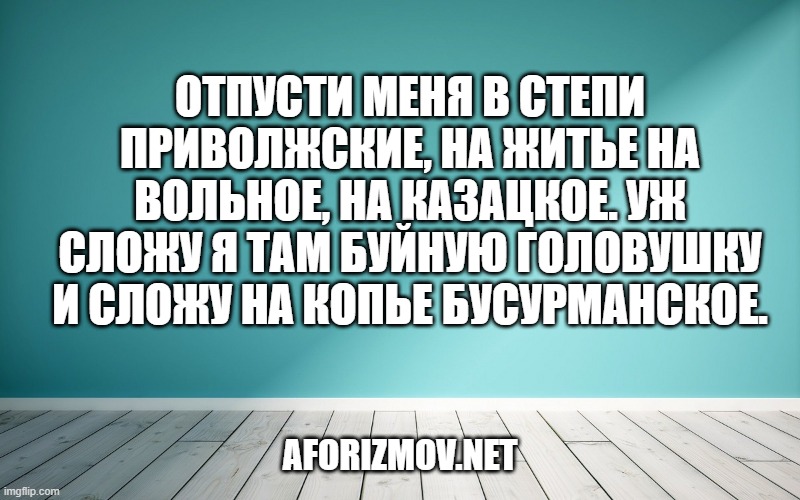 Отпусти меня в степи приволжские, На житье на вольное, на казацкое. Уж сложу я там буйную головушку И сложу на копье бусурманское.