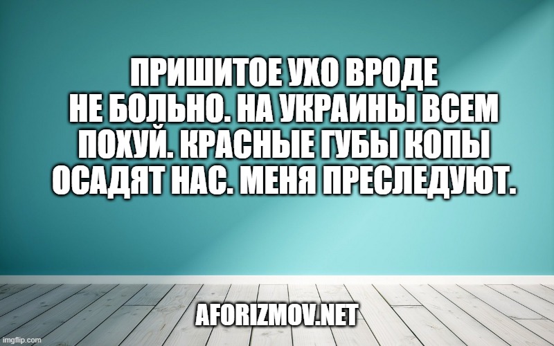 Пришитое ухо вроде не больно. На украины всем похуй. Красные губы Копы осадят нас. меня преследуют.
