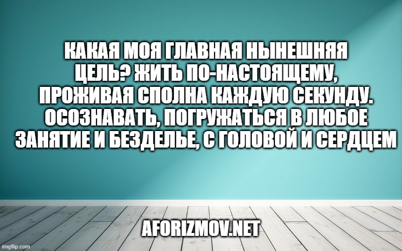 Какая моя главная нынешняя цель? Жить по-настоящему, проживая сполна каждую секунду. Осознавать, погружаться в любое занятие и безделье, с головой и сердцем